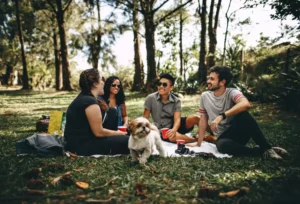 Grupo de jóvenes haciendo un picnic
