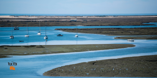 ria formosa faro